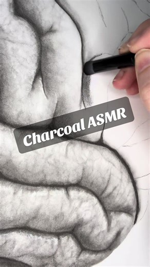There’s something mesmerizing about the sound of charcoal meeting paper. Every stroke breathes emotion into silence. 🎧🖤 #charcoalasmr #artasmr #charcoaldrawing #realisticart #artprocess #satisfyingasmr #asmrsounds #artistsoftiktok #tiktokart #realisticdrawing #arttimelapse #asmrcommunity #arttok #hyperrealism #artinprogress #asmrtherapy #creativeprocess #relaxingasmr #asmrforanxiety #fineart