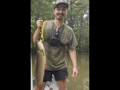 Quest for Big Bowfin 2
