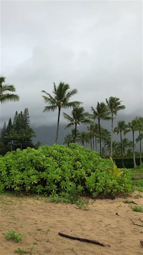 The Ice Age River Valley Under Hanalei