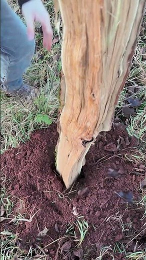 🔨 Hammering Massive Stakes | Farming