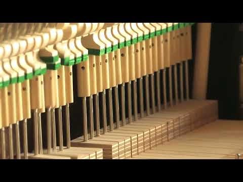 Dan Deacon - Build Voice (Unmixed)