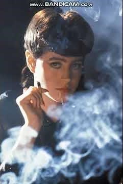 Blade Runner; final cut; Rachael; 1982; YY5i