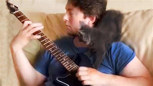 Abandoned Kitten Named Goose Becomes Adventure Cat—Heartwarming Rescue