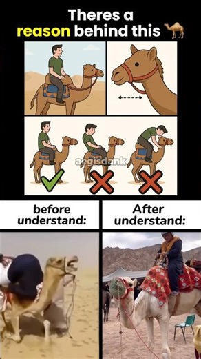 #hungergamestiktok 🥹