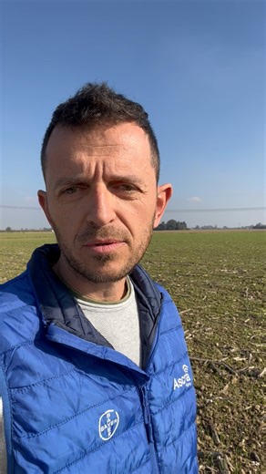 👀 Matteo Lombardi ci mostra un appezzamento di grano seminato con la piattaforma digitale FieldView​ Tecnologia e digitale garantiscono oggi più di un vantaggio a chi li utilizza in campo. ​ 👉 Guarda il video e scopri perché #BayerCropScience #innovazioneagricola #cereali #FieldView | Bayer Crop Science Italia