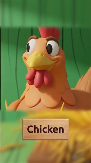 🐔🐔🐔 Chicken, Clucking on the Farm 🥚