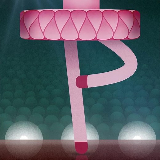 "P" letter, from 36 days of type 2017