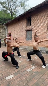 In teaching the young the way of Shaolin, we offer them not just the skills to defend themselves, but the wisdom to navigate life with patience, humility, and inner strength. Shaolin is not merely about martial arts; it is about cultivating a resilient spirit and a compassionate heart. ✨ 1️⃣Follow @shaolinworldwide page for more amazing Shaolin Kungfu, beautiful places in China & inspirational philosophy! 🐉 2️⃣Subscribe to our YouTube channel for exclusive video content including teachings, mus