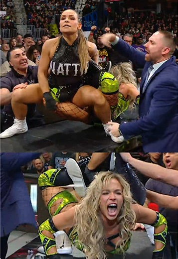 WWE's Absolute Savage Moments with Nattie and AJ Lee