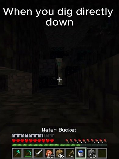 This is why you don't dig directly down #minecraftmeme