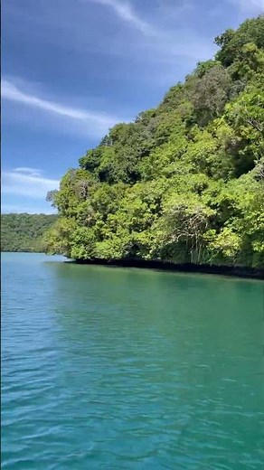 🇵🇼 Palau Rock Island Cruise Episode 122 #visitpalau #travel #islandparadise #explore