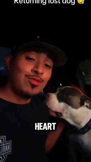 Found a Lost Dog and Now I Can't Let Go #shorts #wholesome #heartbreaking