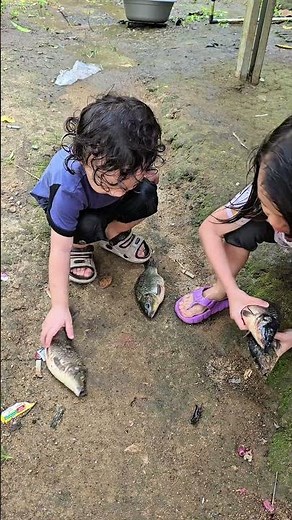 kakak sama adek tolongin ikan yang terdampar