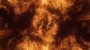 2.4K views · 16 reactions | All types of entertainment included in your ticket to our Trucks Gone Wild Spring Break 2023 at Redneck Mud Park event March 16-19. Don't miss Savannah Dexter, Brabo Gator, and Spyda JC on Friday night, March 17th. Tickets on sale showclix.com/event/tgwsb23100. | RYC Mud Park | Facebook