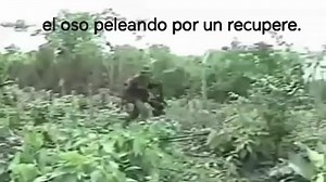 Evertz Carcamo on Reels