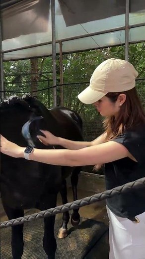 Reviving Novice Equestrian Skills: Horse Bathing Basics HorsebackRidingPractice Novice