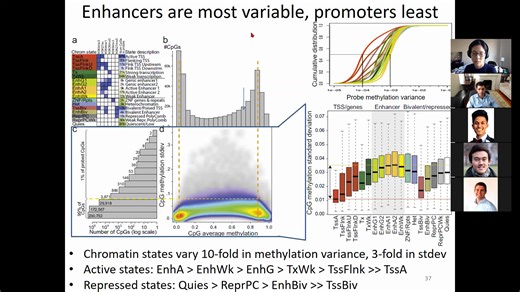 6.047⧸6.878 Lecture 15 - eQTLs expression Quantitative Trait Loci (Fall 2020) [m