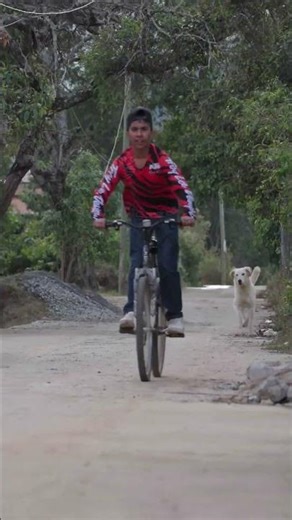 I Built a School in Mexico MrMRoy