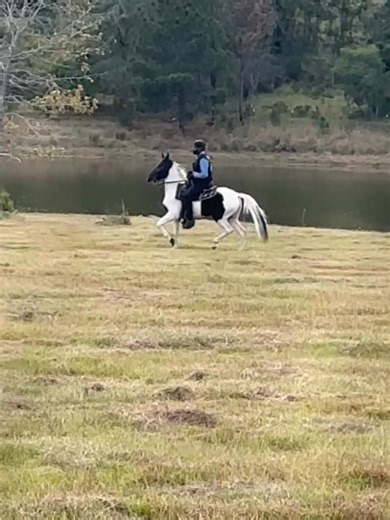 Oreo first trail ride | Jason Saulsberry