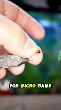 Articulating Nymph Fly tutorial #flyfishing #flytying #nymphing #bassonthefly #flyfishingtexas