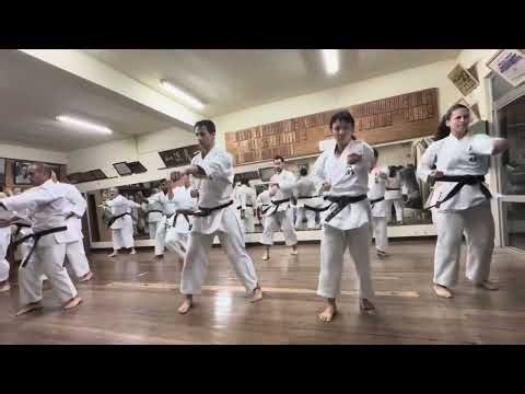 Pinan Shodan - Shorin-Ryu Kyudokan Hombu Dojo, Okinawa