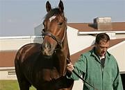 Barbaro is euthanized