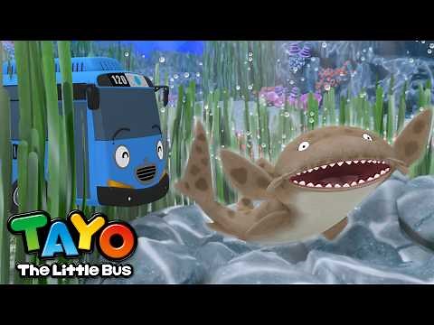 Hiu Karpet | Jenis Hiu🦈 | Lagu Anak dan Balita | Hewan Laut | Tayo Bahasa Indonesia