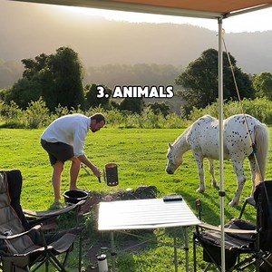 391 reactions · 19 shares | Hipcamp guests are searching for camping & glamping in your area. List your property now. | Hipcamp Australia | Facebook