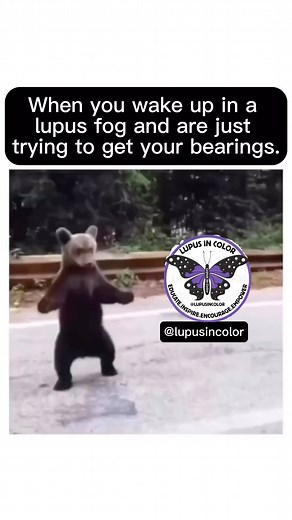 Lupus In Color on Reels