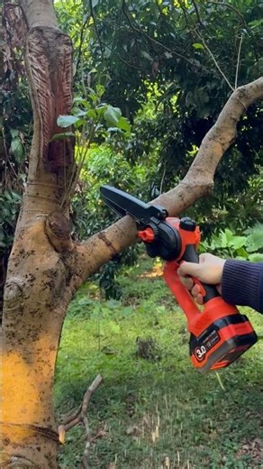 A mini chainsaw that’s powerful yet easy to handle—perfect for women