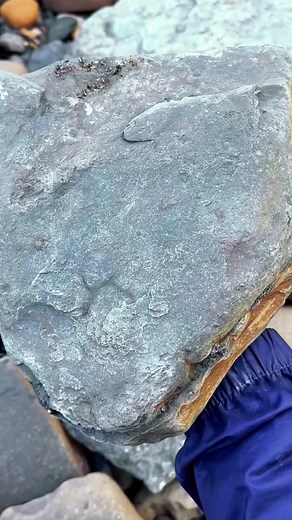 2.8K views · 30 reactions | Fossil hunting #FossilHunting #PrehistoricLife #GeologyRocks #AncientHistory #DinosaurBones #Paleontology #NatureFinds #Rockhound #TimeCapsule #EarthHistory | SocialSphere Central | Facebook