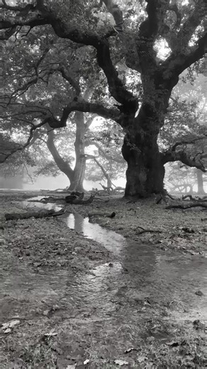 Motivasi Hidup: Semangat untuk Diri Sendiri