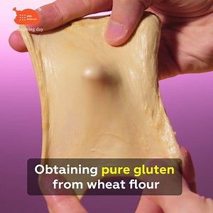 264K views · 698 reactions | Gluten is baker's glue  It keeps dough together and traps air bubbles inside, resulting in pores. Let's take a closer look! For step-by-step instructions go here: https://mel.sc/sBAX/ Even more scientific experiments for a happy Thanksgiving await you in the MEL Science subscription: https://mel.sc/sBAa/ | MEL Science | Facebook