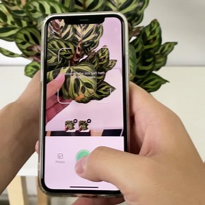 From watering to fertilizing, Plant Parent has everything you need to keep your plants healthy and happy.🌹🌹 | Plant Parent