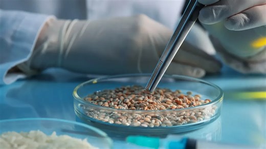 Ingredion leverages AI to advance ingredient discovery