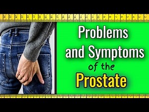 Understanding Prostate Health: Common Problems and Symptoms