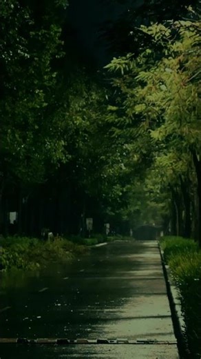 Deep Sleep with Heavy Rain ⛈ A Natural Remedy for Restful Nights