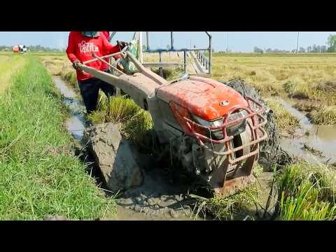 Tractor Stuck in Mud | Kubota Mini Tiller Rescue Operation Cambodia