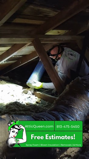 Bye-bye, mystery fluff 👋 This attic's gettin’ a glow-up! 🧹 We sucked out YEARS of dirt, dust, & who-knows-what... So fresh. So clean. So not breathing that in anymore. 😷 💪 Real crews. Real equipment. Real satisfying. 📞 Hit us up for a free estimate — attic peace of mind is a vibe. 813-475-5450 or at AtticQueen.com #atticqueen #insulation #energysavings #atticinsulation #homeimprovements #moneysavingtips | Attic Queen