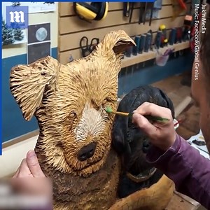 20K views · 138 reactions | This is such a beautiful way to honor your pets! Additional clip via ViralHog | Daily Mail Video | Facebook