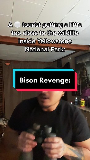 Native American Riding Bison: Bison Revenge