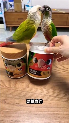 Parrot Bird Food 🦜🥗 | Healthy Nutrition, Fruits & Veggies for Happy Parrots! 😍 #Shorts