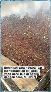 drying coffee beans quickly after harvesting, using the open method | Thecoffedaya