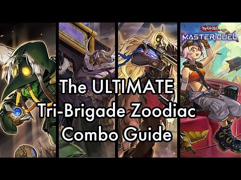 The ULTIMATE Tri-Brigade Zoodiac Combo Guide!