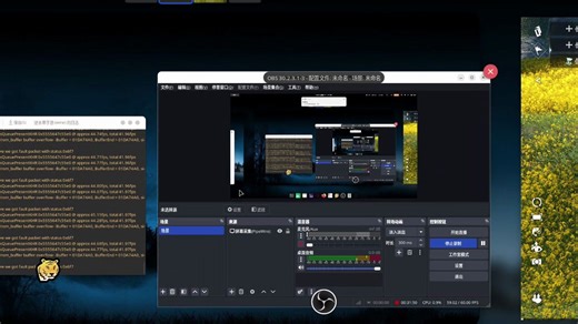 Linux上玩大型网游细节优化