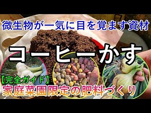 微生物が最も喜ぶ“コーヒーかす”の使い方｜発酵肥料の作り方、春作の備え