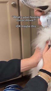 So. Much. Drool. A vetmed nightmare. It’s a good thing I LOVE this dog 😆 #drool #dogs #funny | drmollysays