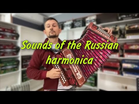 Soulful harmonica sounds Russian guy performs traditional folk songs on the harmonica
