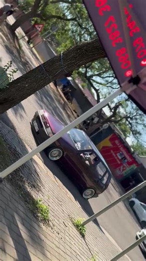 Get Ready to Bounce: Fun Activities for Everyone