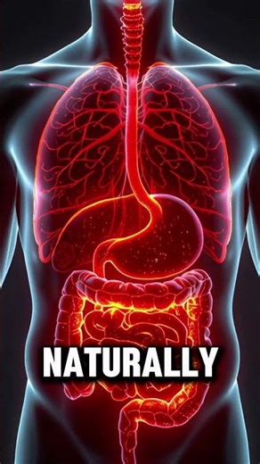 Start Your Day with Clove Water 🍋#nutritiontips #youtubeshorts #shorts